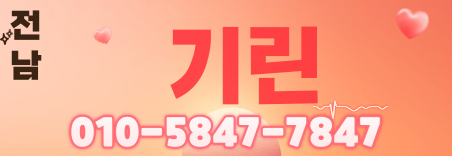 도도알바