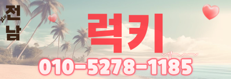도도알바