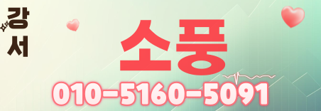 도도알바