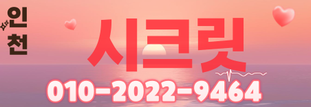 도도알바