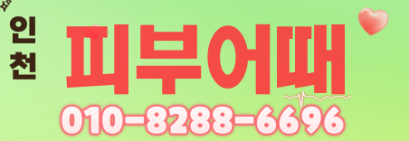 도도알바