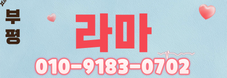 도도알바