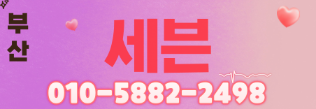 도도알바
