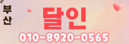 도도알바