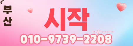 도도알바