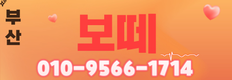 도도알바