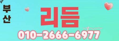 도도알바