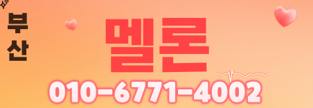 도도알바