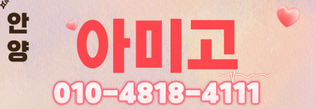 도도알바