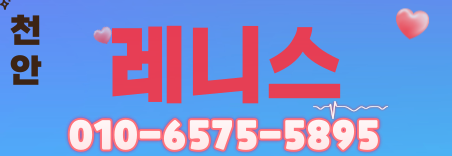 도도알바