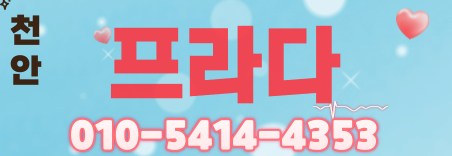 도도알바